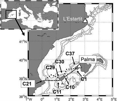 Long-Term Changes in the Water Mass Properties in the Balearic Channels Over the Period 1996–2019